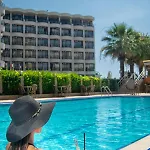 Palm 4*