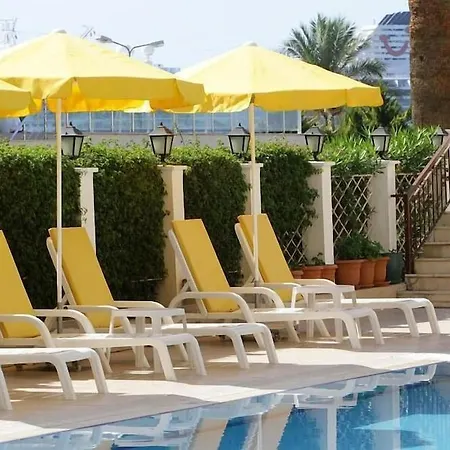 فندق Palm 4*