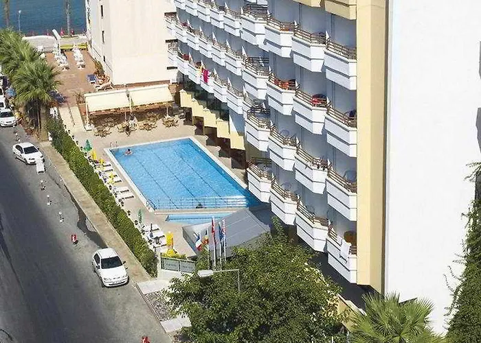 Palm 4*
